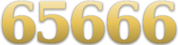 65666 logo
